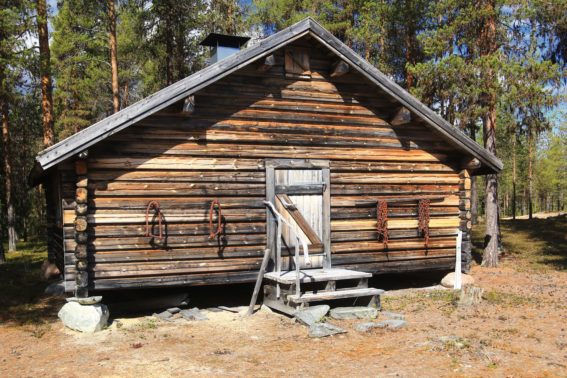 Wooden forest cabin standing in a quiet clearing surrounded by pines and early spring light