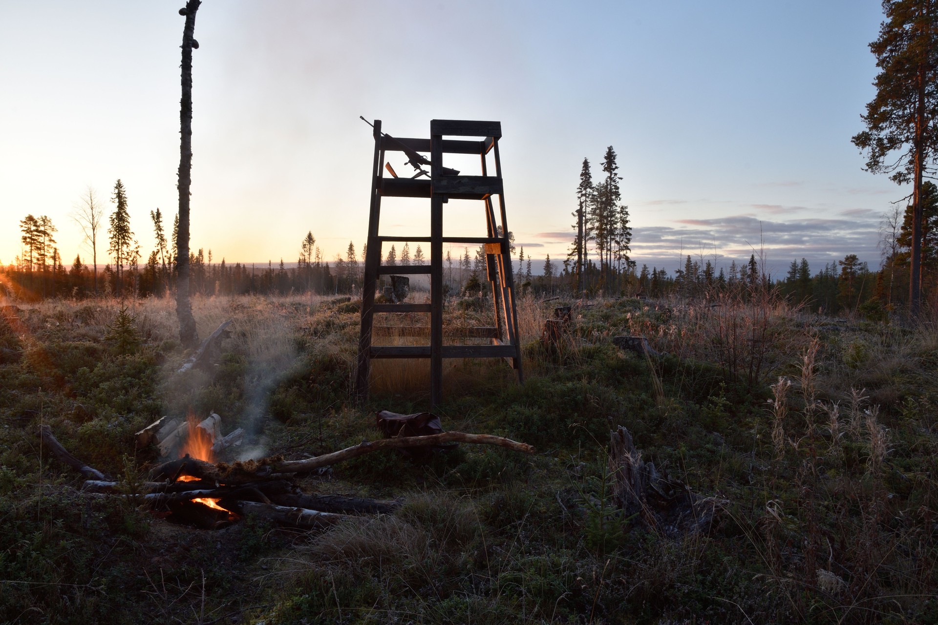 Wooden tower used for Moose hunting in morning lite