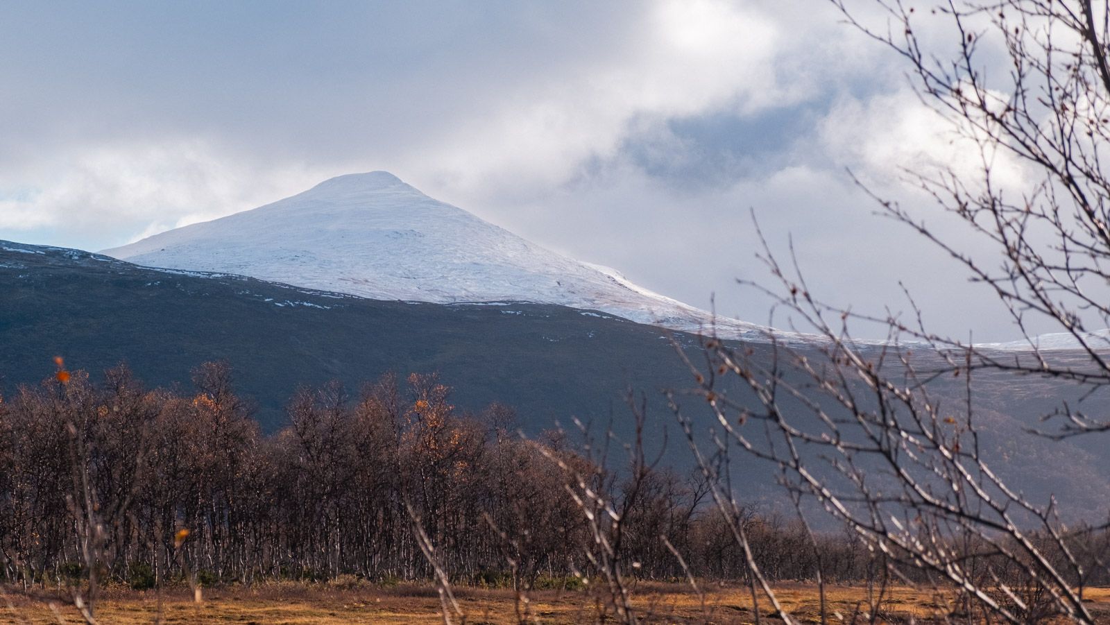 Umfors cabins and surroundings 5